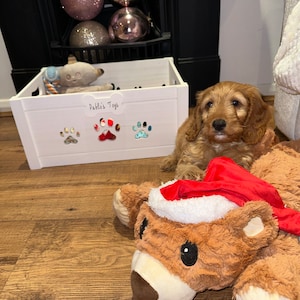 Lily added a photo of their purchase