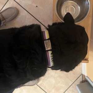 Hayden added a photo of their purchase