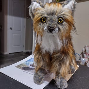 Pam added a photo of their purchase