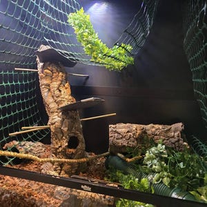 Kile added a photo of their purchase