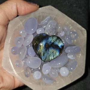 Harlow added a photo of their purchase