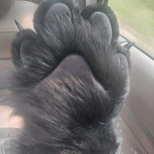 Mylo added a photo of their purchase