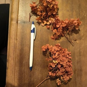Corine added a photo of their purchase