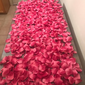 Doutop, petali di rosa artificiali, 1000 pezzi, di seta, decorazioni
