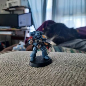 Deidre dodał(a) zdjęcie swoich zakupów