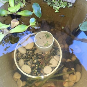 Gunny added a photo of their purchase