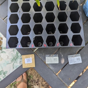 Zachary added a photo of their purchase