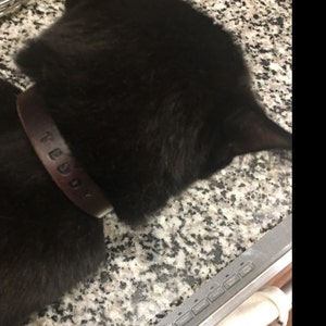 Ulrike added a photo of their purchase