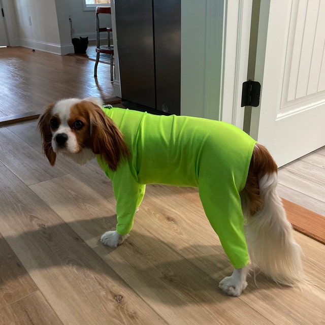 DoggieDirtShirt Etsy