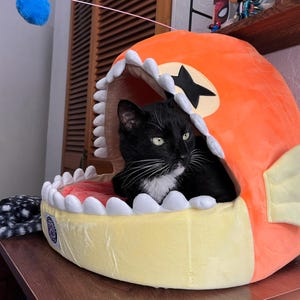 italis added a photo of their purchase