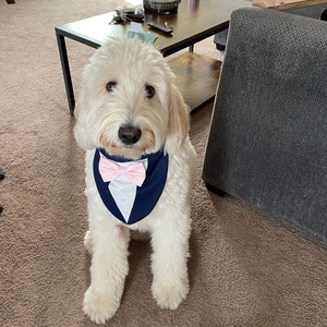seersucker dog bow tie