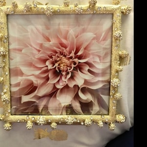 Greer added a photo of their purchase