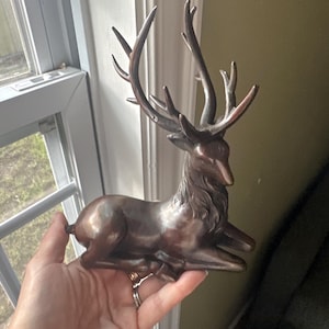 Rachael added a photo of their purchase