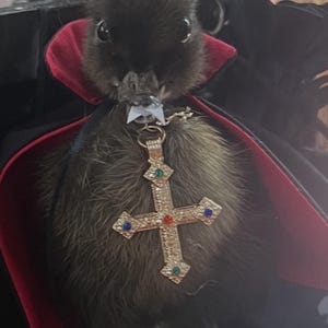 Beth added a photo of their purchase