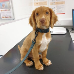 Ella ha añadido una foto de su compra