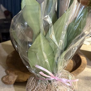 Jaimie added a photo of their purchase
