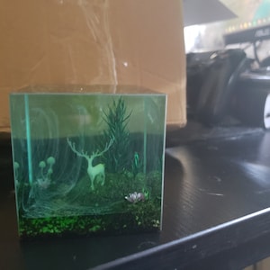 Quinn ha añadido una foto de su compra