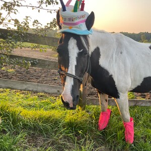 Birthday Hat for Horse or Pony With Candles Soft Equine Birthday Hat