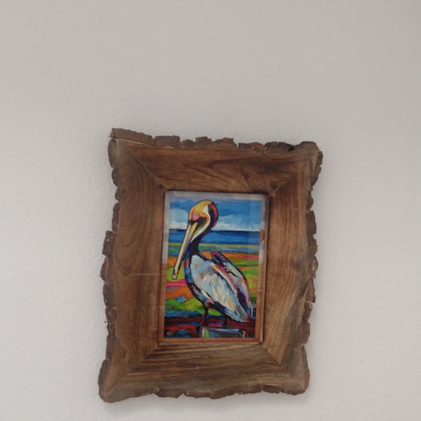 Fine Art. 4x6 Tropical Pelican Art, Bird Art Mini Print, Coastal Wall ...