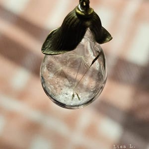 Lisa ha añadido una foto de su compra