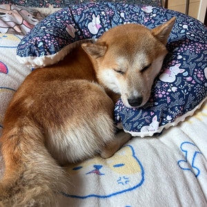 Silke added a photo of their purchase