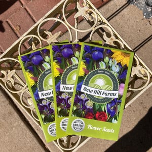200 Giant Envy Green Zinnia Flower Seeds - Etsy