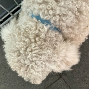 Wendie added a photo of their purchase