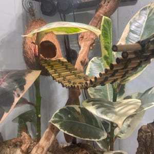 Skyler added a photo of their purchase