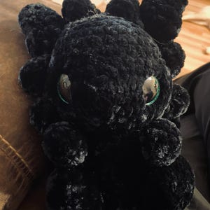 Scautilis added a photo of their purchase