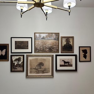 AliChe added a photo of their purchase