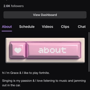 Purple Chain WEBCAM OVERLAY Stream Overlay Twitch - Etsy