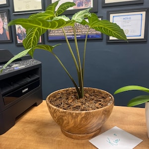 Etsy buyer added a photo of their purchase