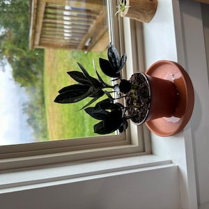Nadia added a photo of their purchase