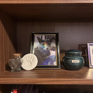 katherine added a photo of their purchase