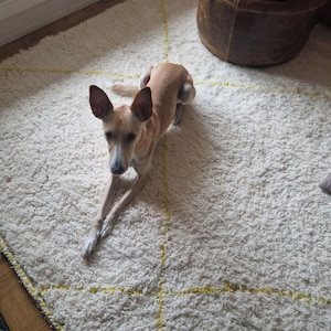 Hélène added a photo of their purchase