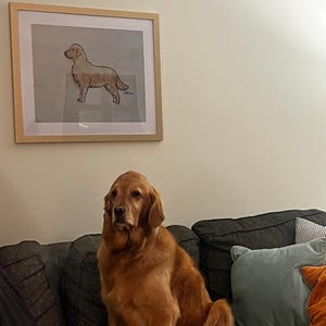 Stephanie added a photo of their purchase