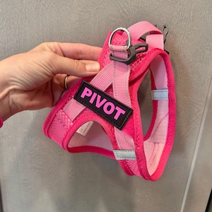 Kristina added a photo of their purchase