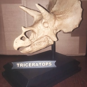 titipouss ha añadido una foto de su compra