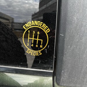 Cheeseburgernocheese added a photo of their purchase
