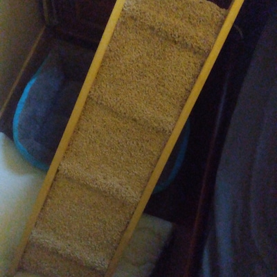 36 Long by 13 Wide STRONG PET RAMP Perfect for - Etsy