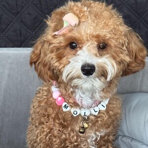 Maritza さんが購入した商品の写真を追加しました
