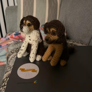 Kaitlyn added a photo of their purchase