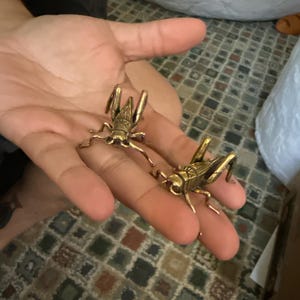 Hailey added a photo of their purchase