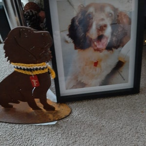 Molly added a photo of their purchase