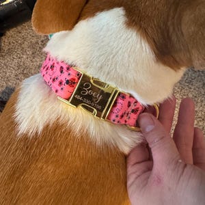 Dian added a photo of their purchase