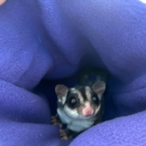 Nicole added a photo of their purchase