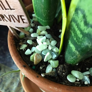 Christina added a photo of their purchase