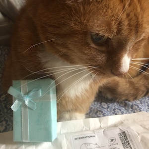 Wendy added a photo of their purchase