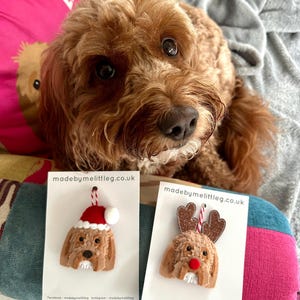 Becca added a photo of their purchase