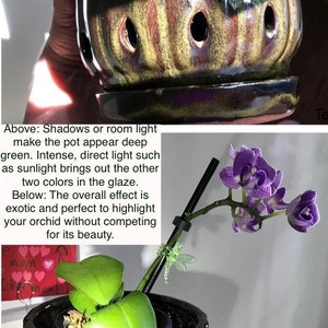 Susan added a photo of their purchase